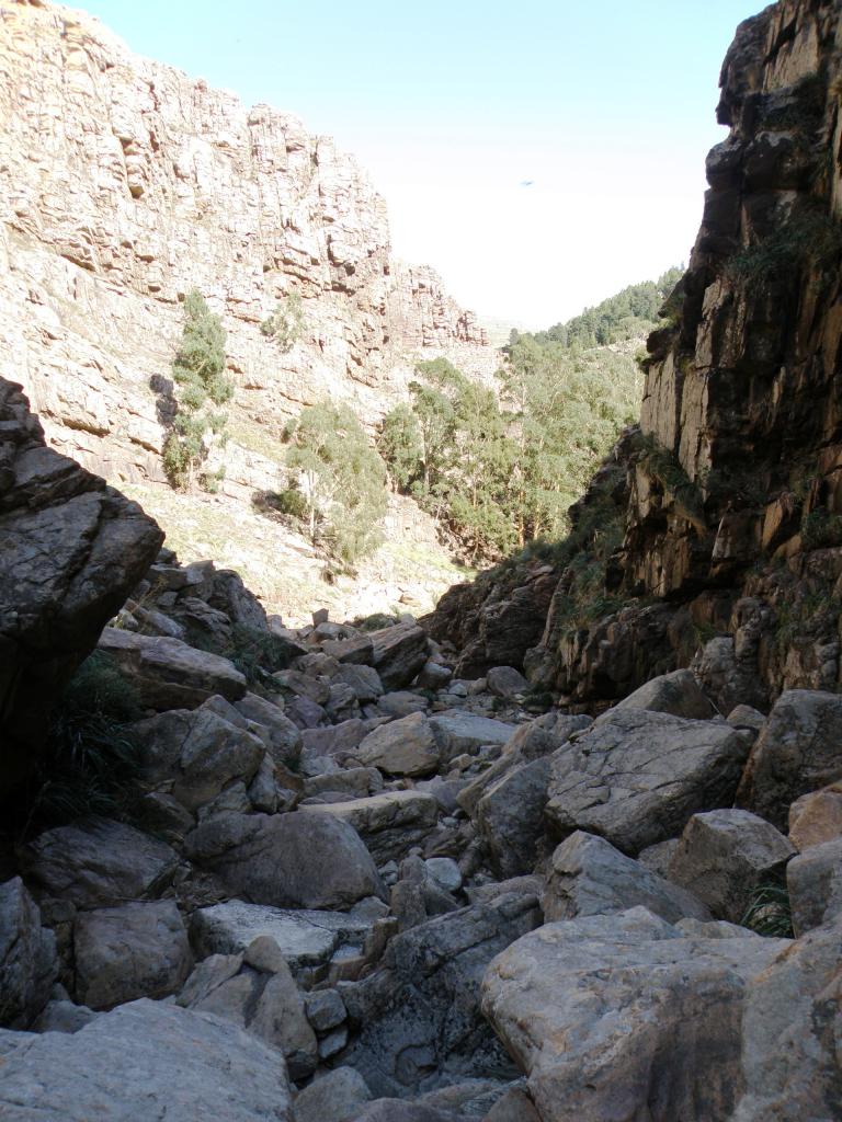 Foto de Sierra de la Ventana (Buenos Aires), Argentina