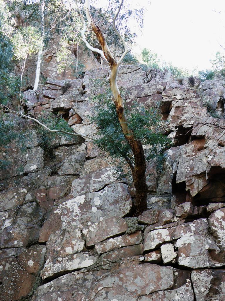 Foto de Sierra de la Ventana (Buenos Aires), Argentina