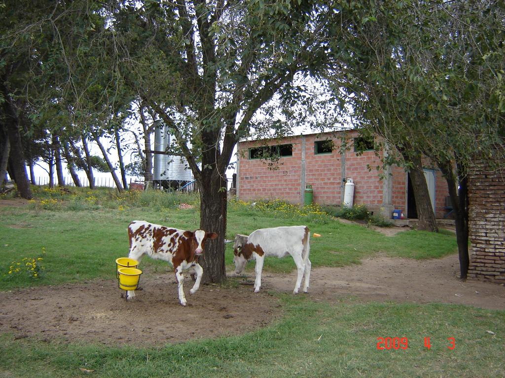 Foto de Saldungaray (Buenos Aires), Argentina