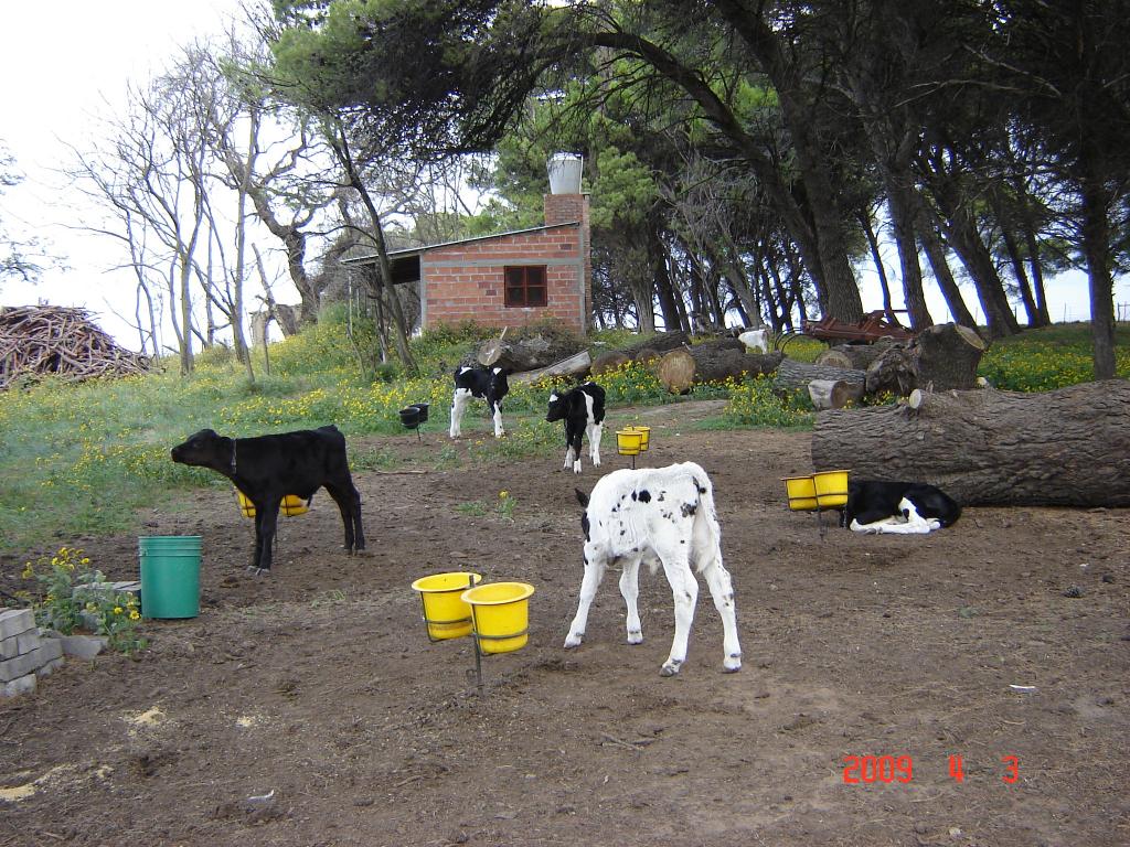 Foto de Saldungaray (Buenos Aires), Argentina