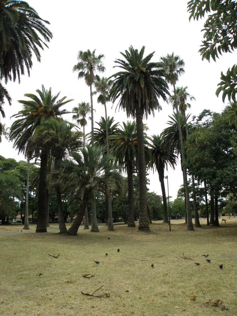 Foto de Buenos Aires, Argentina