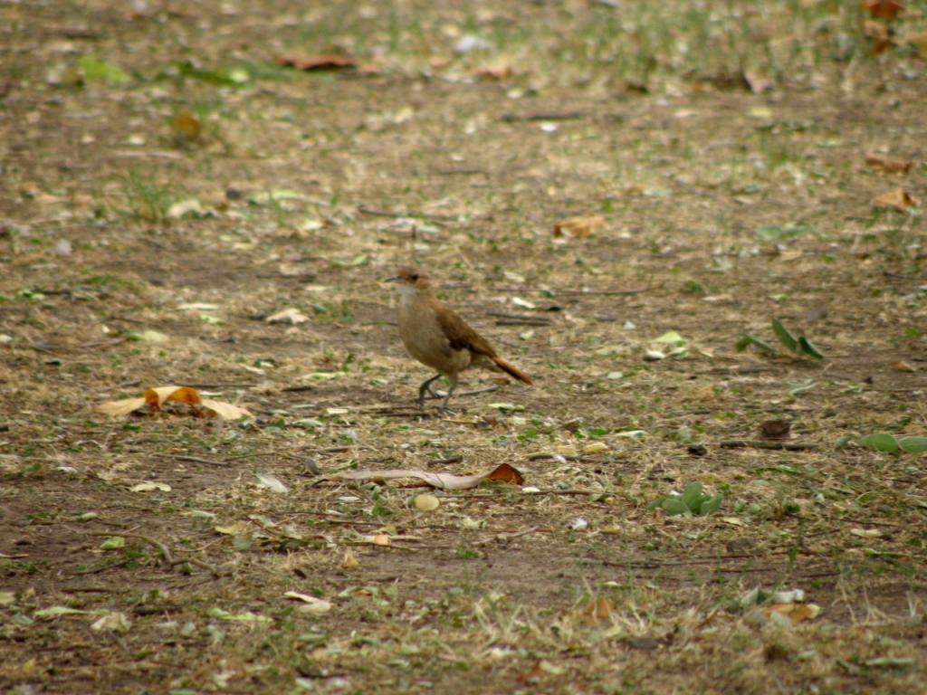 Foto de Buenos Aires, Argentina