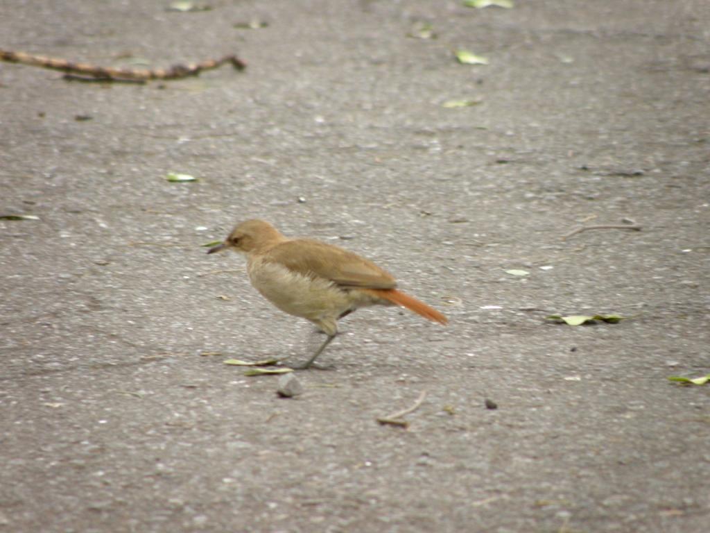 Foto de Buenos Aires, Argentina