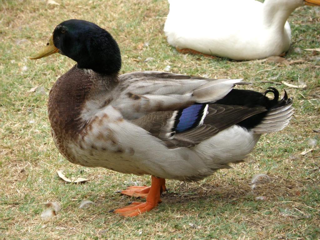 Foto de Buenos Aires, Argentina