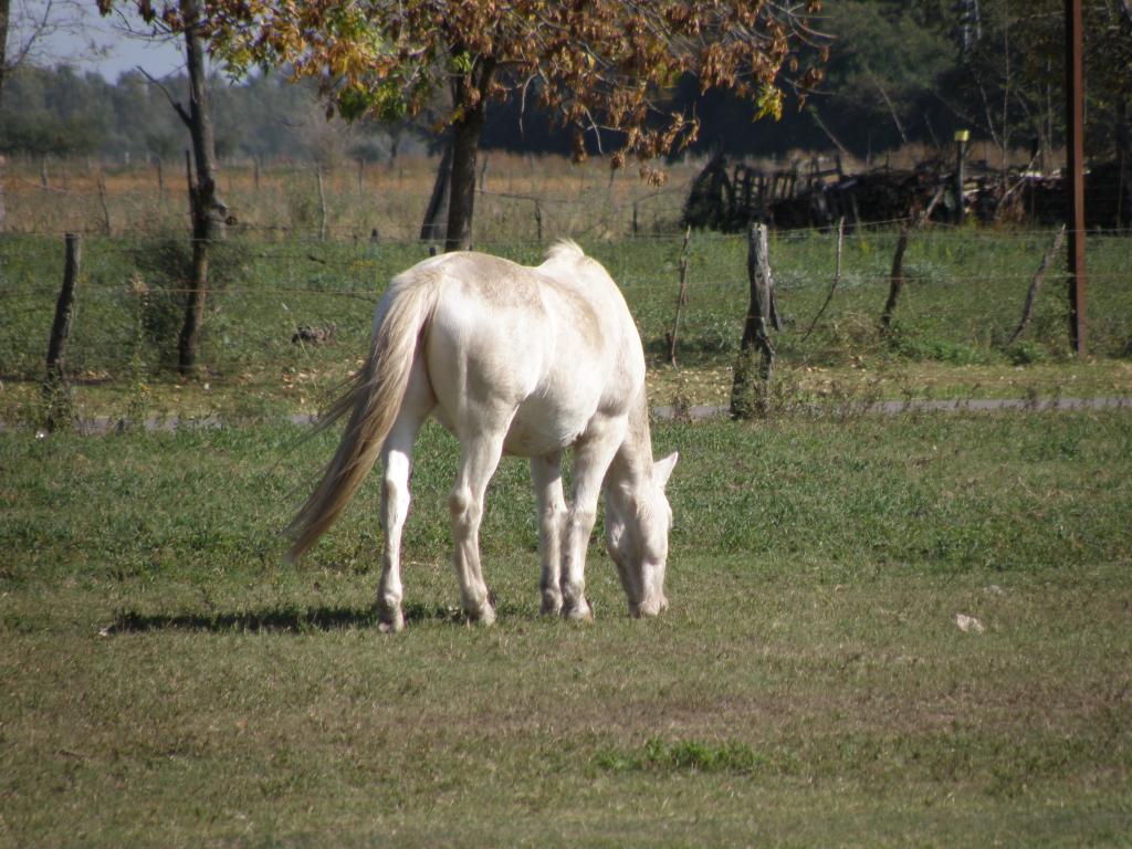 Foto de Carlos Keen (Buenos Aires), Argentina