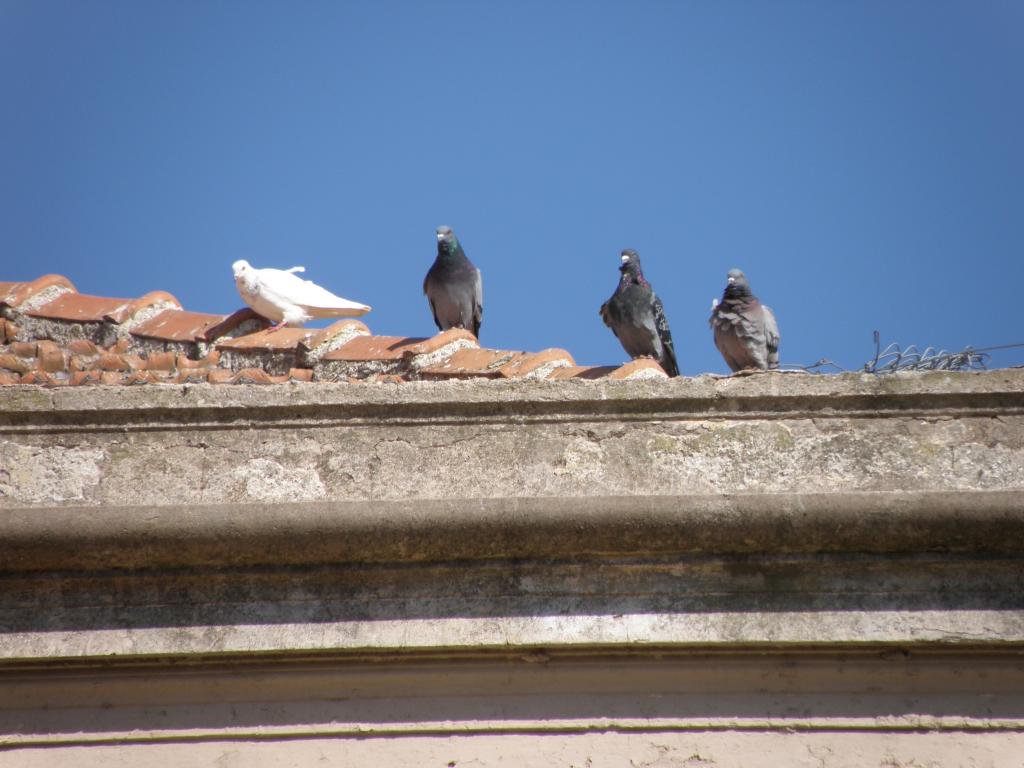 Foto de Carlos Keen (Buenos Aires), Argentina