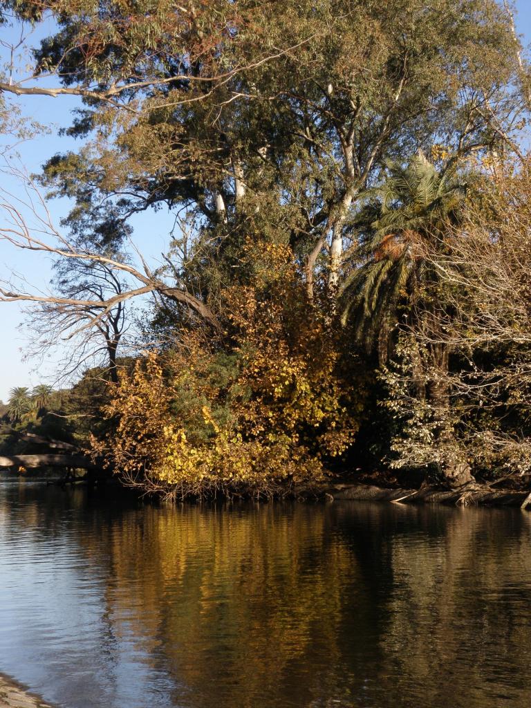 Foto de Buenos Aires, Argentina