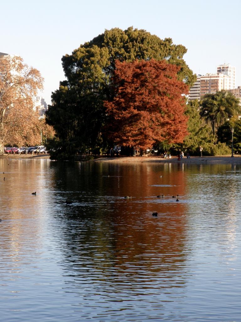 Foto de Buenos Aires, Argentina