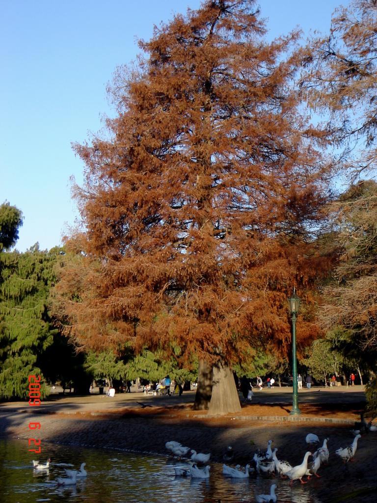 Foto de Buenos Aires, Argentina