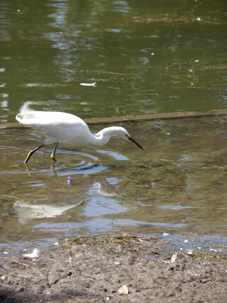 Foto de Buenos Aires, Argentina