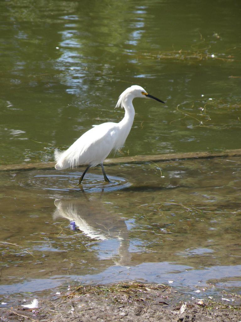 Foto de Buenos Aires, Argentina