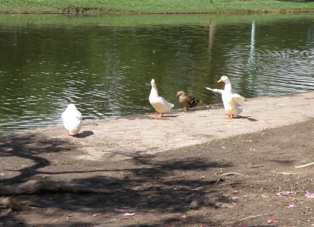 Foto de Buenos Aires, Argentina