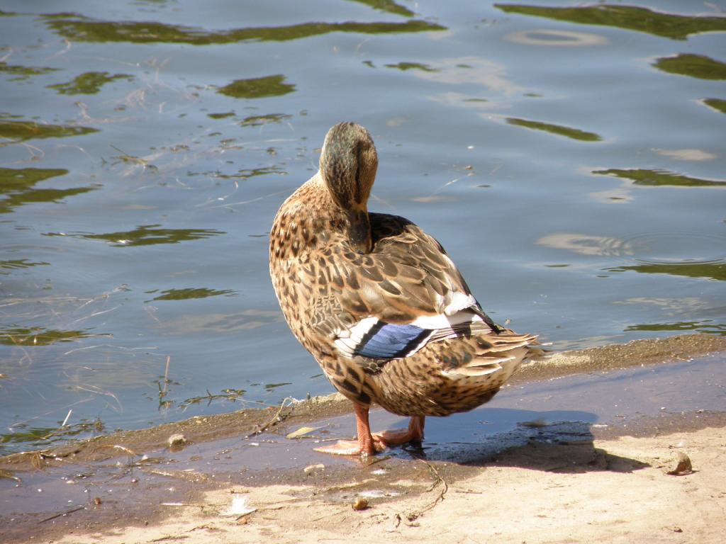 Foto de Buenos Aires, Argentina