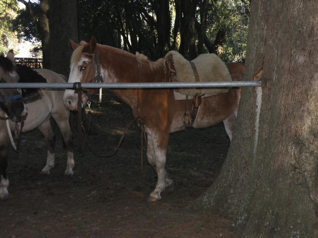 Foto de Solís (Buenos Aires), Argentina