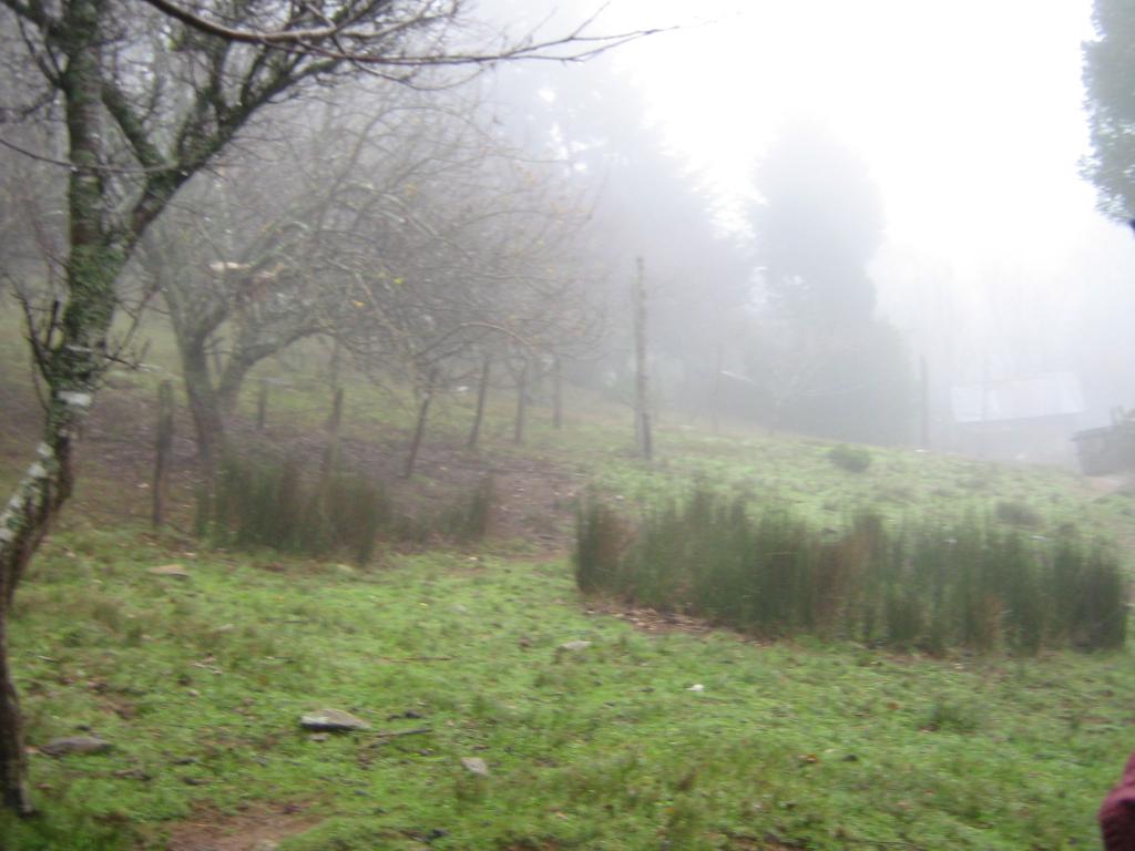 Foto de Queule, Chile