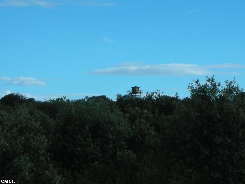 Foto de Majadahonda (Madrid), España