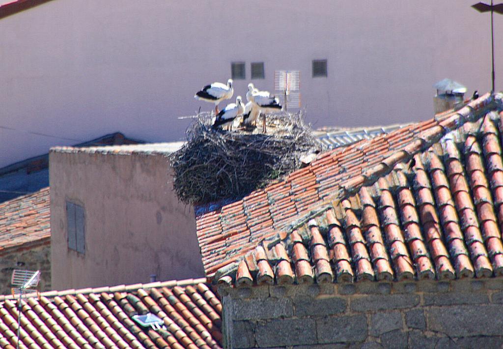 Foto de El Mirón (Ávila), España