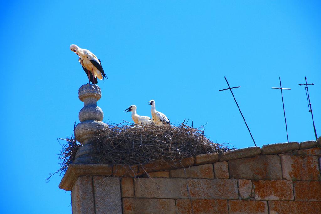 Foto de La Horcajada (Ávila), España