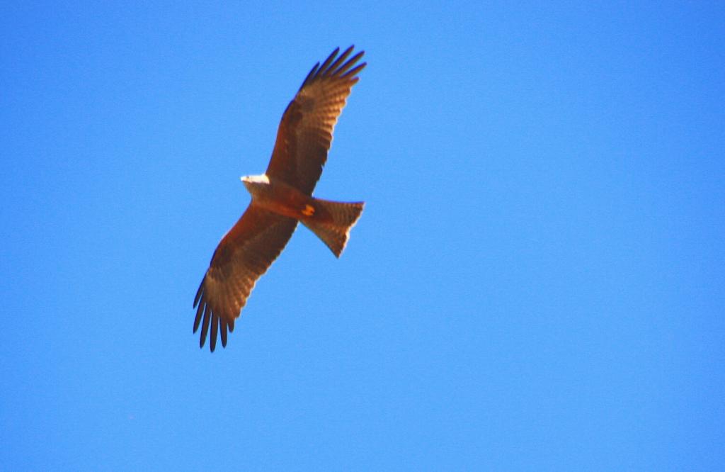 Foto de La Horcajada (Ávila), España