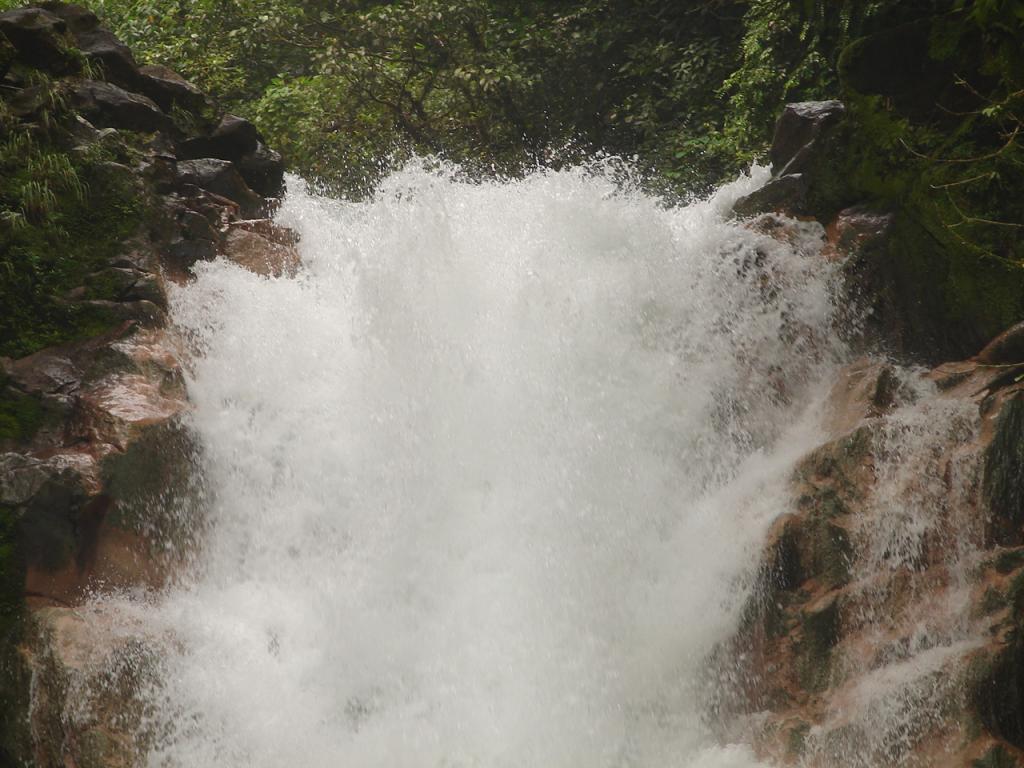 Foto de Guatuso (Rios Celeste), Costa Rica