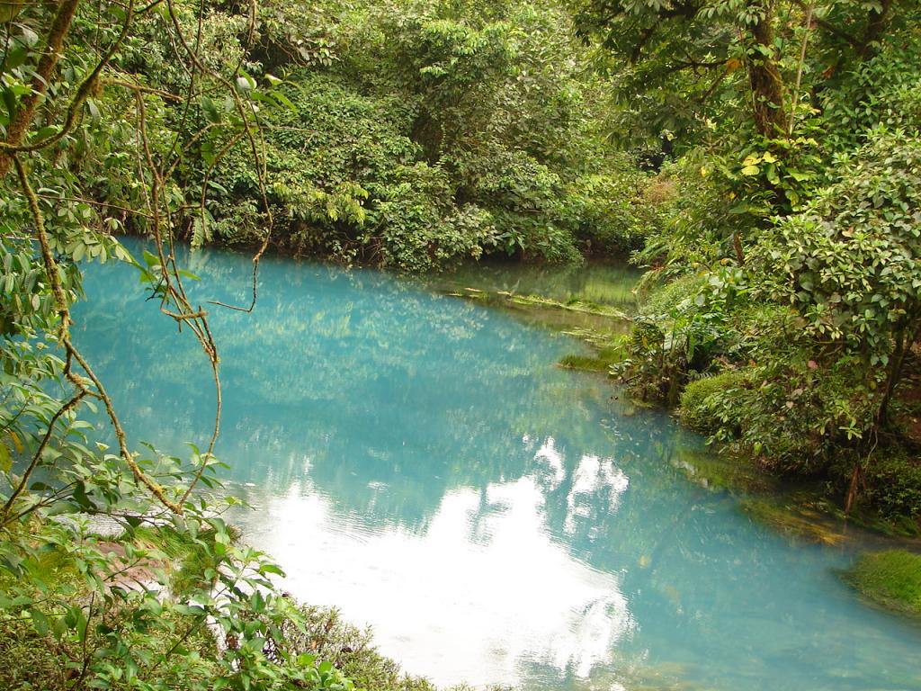 Foto de Guatuso (Rios Celeste), Costa Rica