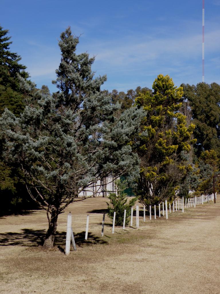 Foto de Solís (Buenos Aires), Argentina