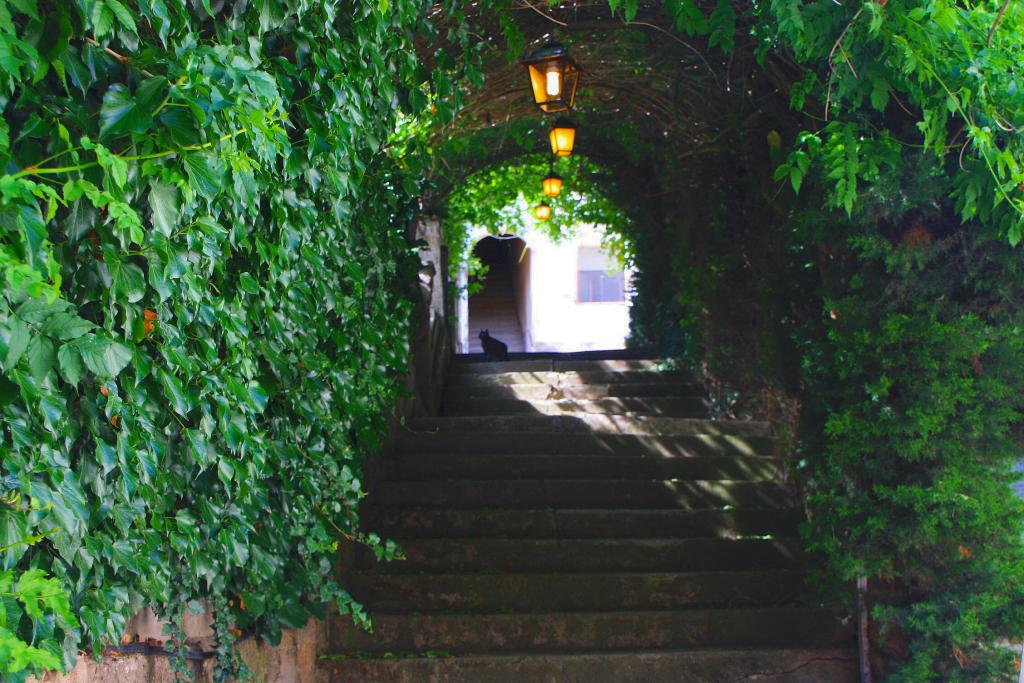 Foto de Peramola (Lleida), España