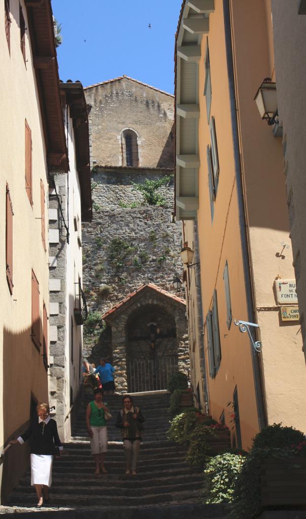 Foto de Prats de Molló (La Presta), Francia