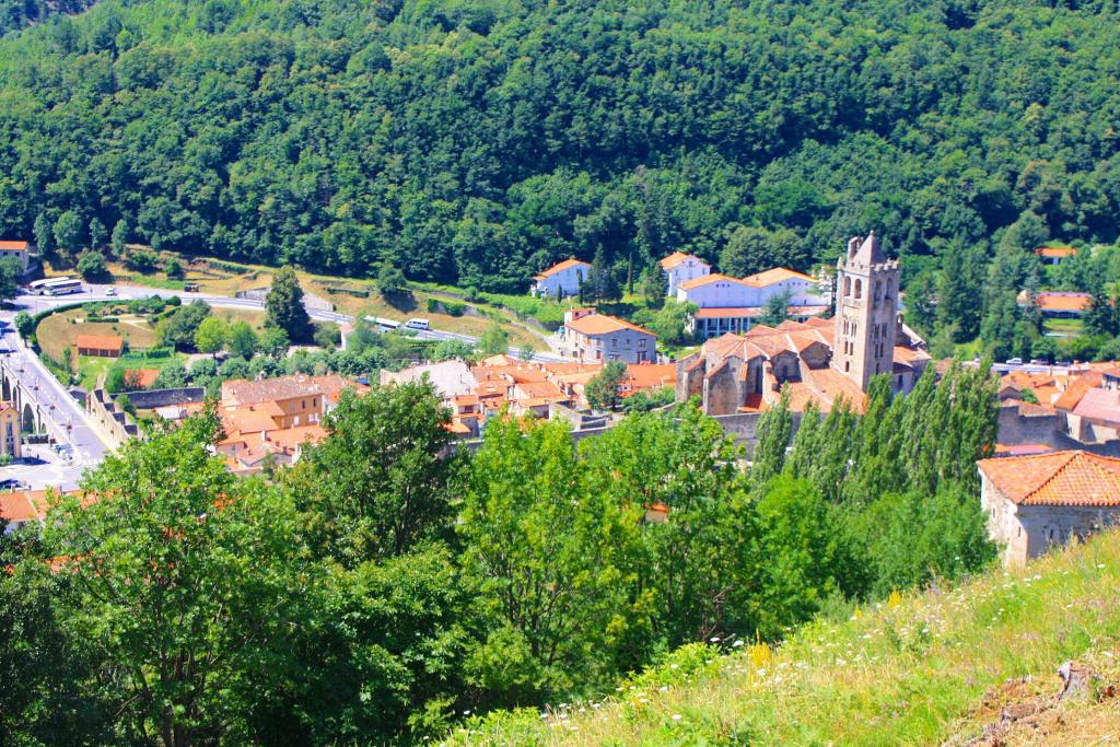 Foto de Prats de Molló (La Presta), Francia