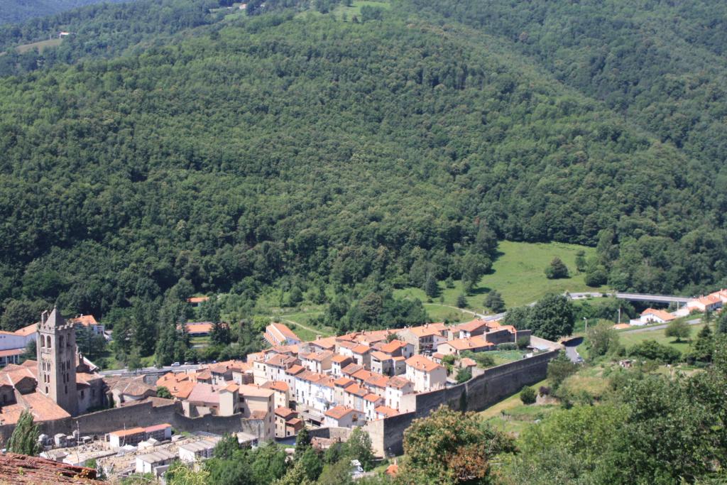 Foto de Prats de Mollo (La Presta), Francia