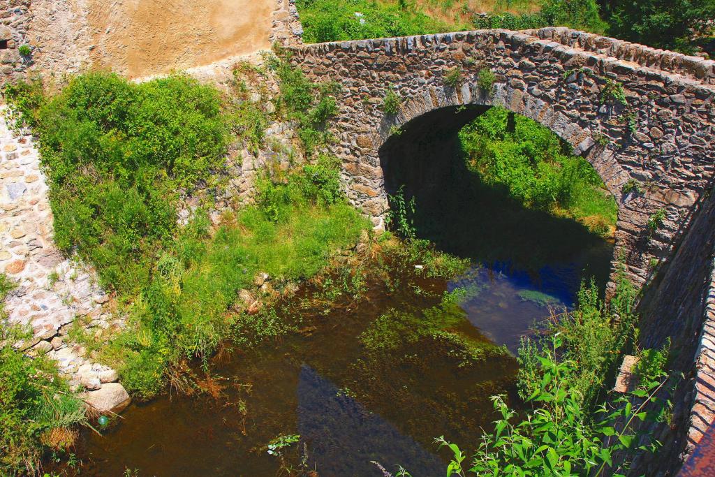 Foto de Prats de Mollo (La Presta), Francia