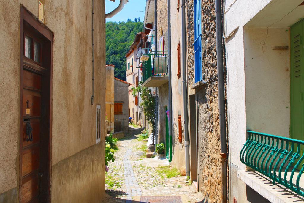 Foto de Prats de Mollo (La Presta), Francia