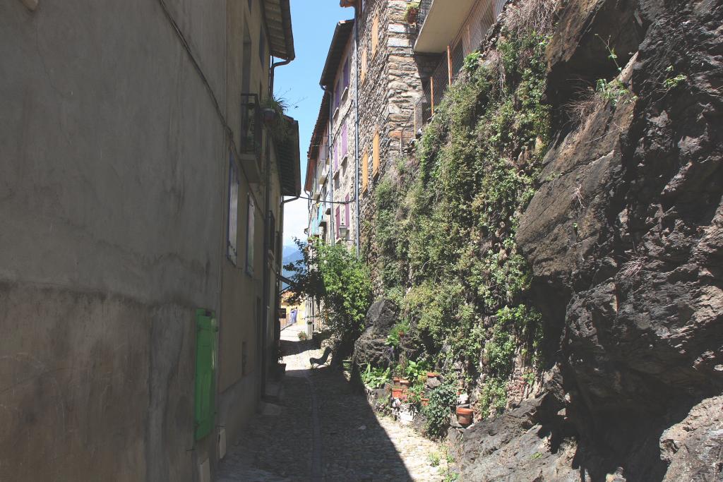 Foto de Prats de Mollo (La Presta), Francia