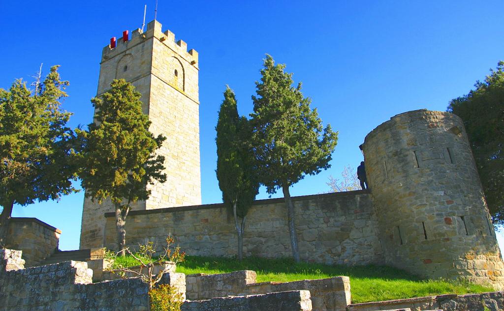 Foto de Sos del Rey Católico (Zaragoza), España