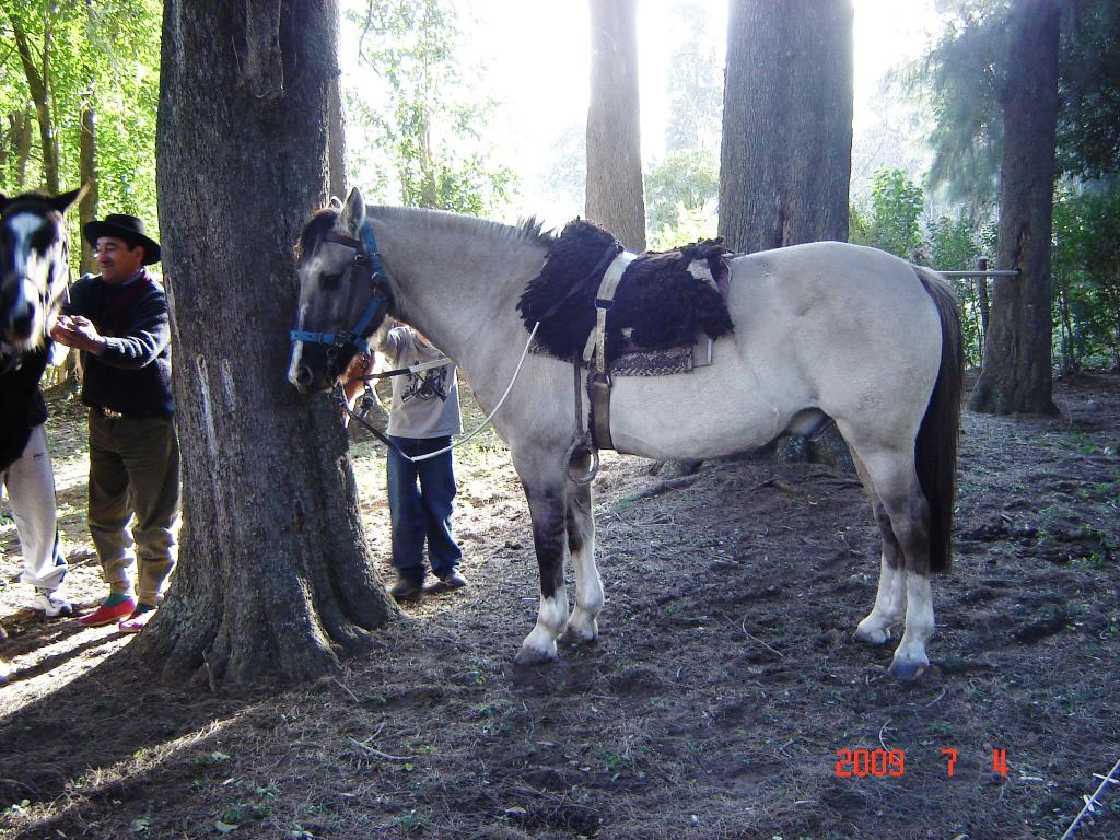 Foto de Solís (Buenos Aires), Argentina