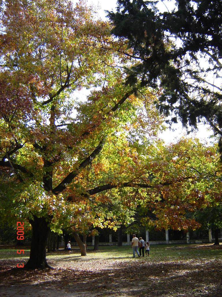 Foto de Buenos Aires, Argentina