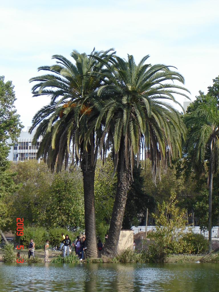 Foto de La Plata (Buenos Aires), Argentina