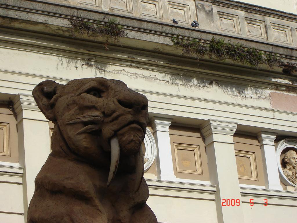 Foto de La Plata (Buenos Aires), Argentina