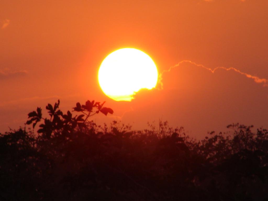 Foto de San Carlos (Alajuela), Costa Rica