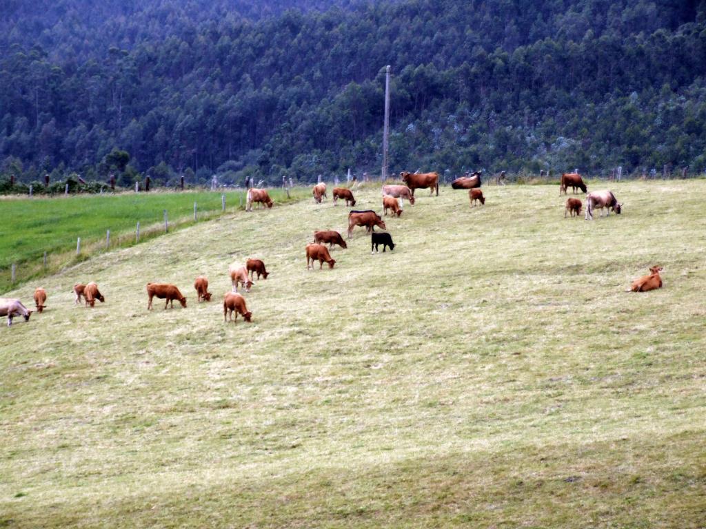 Foto de Obregon (Cantabria), España