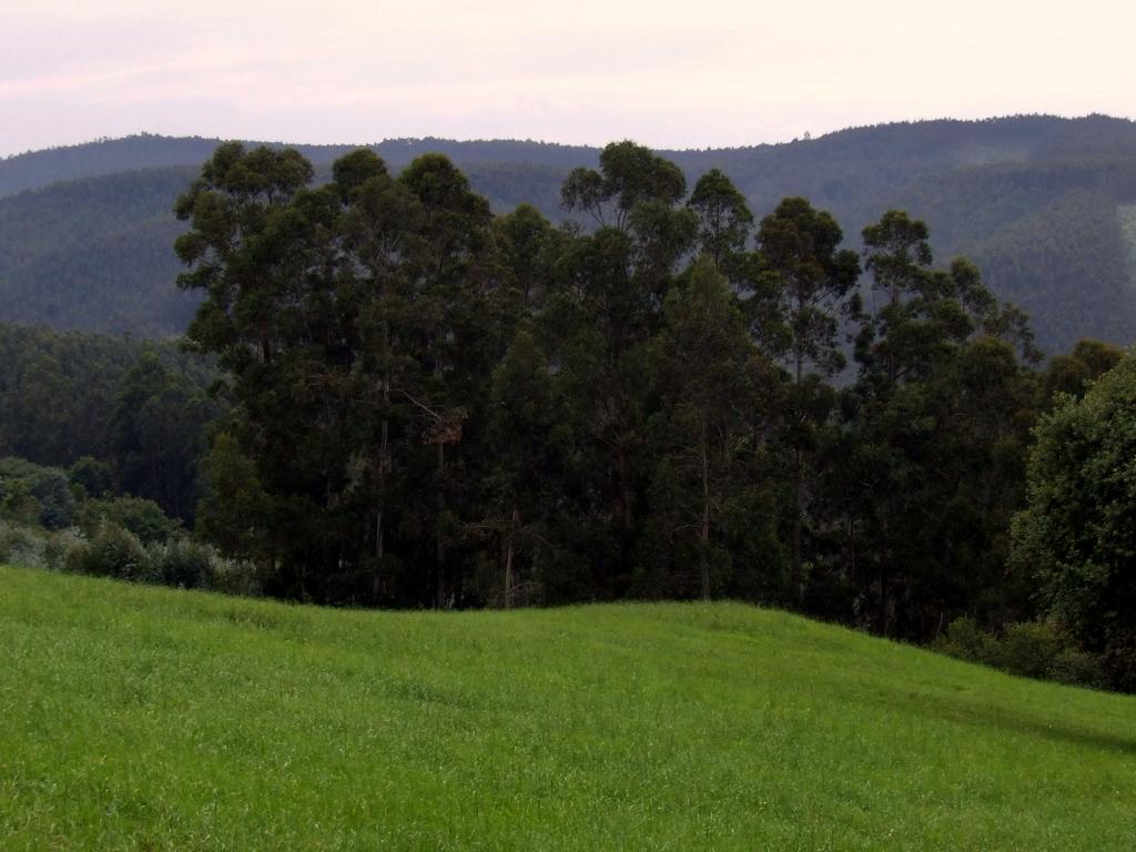 Foto de Obregon (Cantabria), España