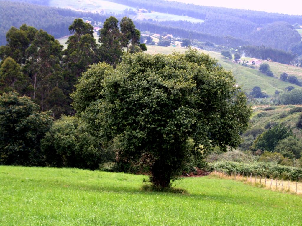 Foto de Obregon (Cantabria), España