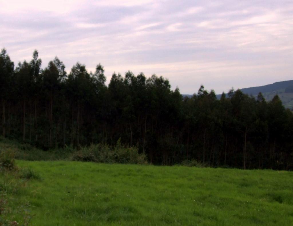 Foto de Obregon (Cantabria), España