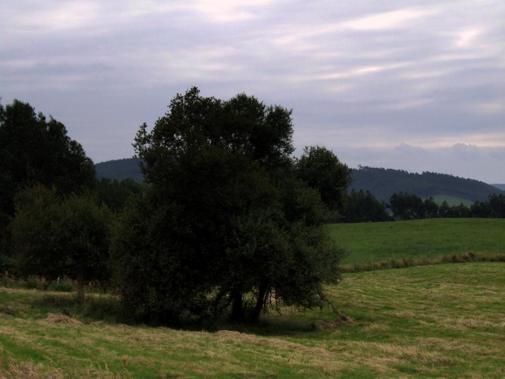 Foto de Obregon (Cantabria), España