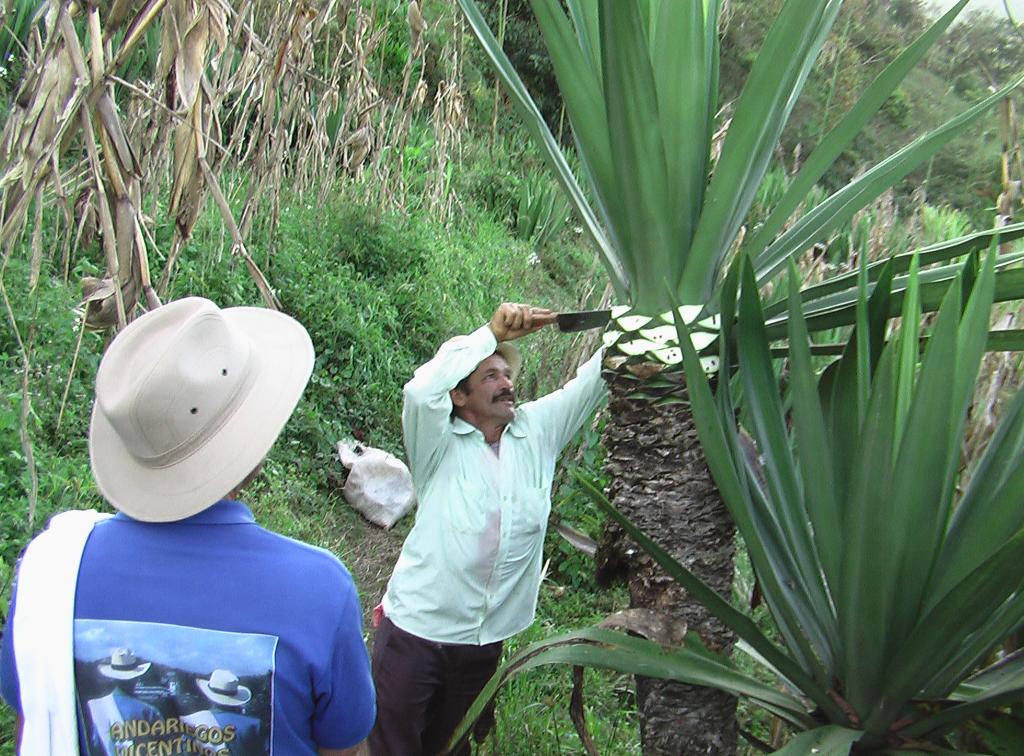 Foto de San Vicente Ferrer (Antioquia), Colombia