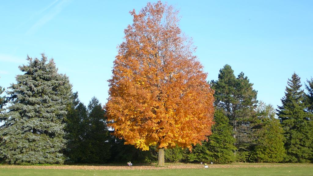 Foto de Paris (Ontario), Canadá