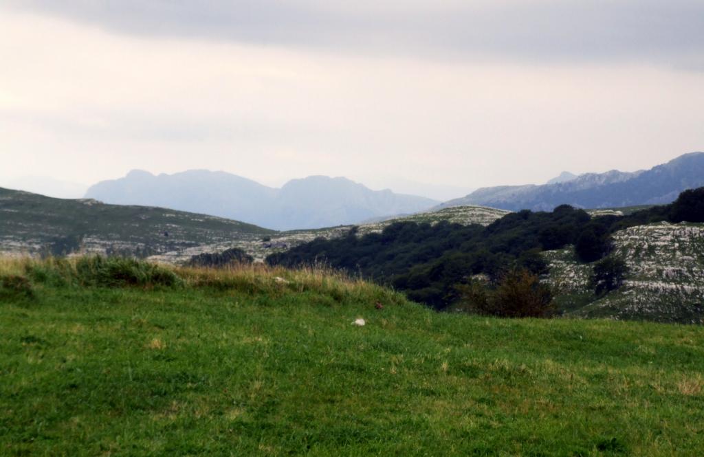 Foto de Alisas (Cantabria), España