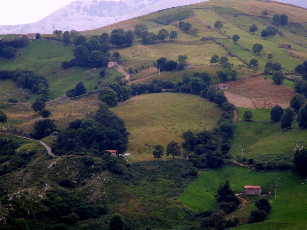 Foto de Alisas (Cantabria), España