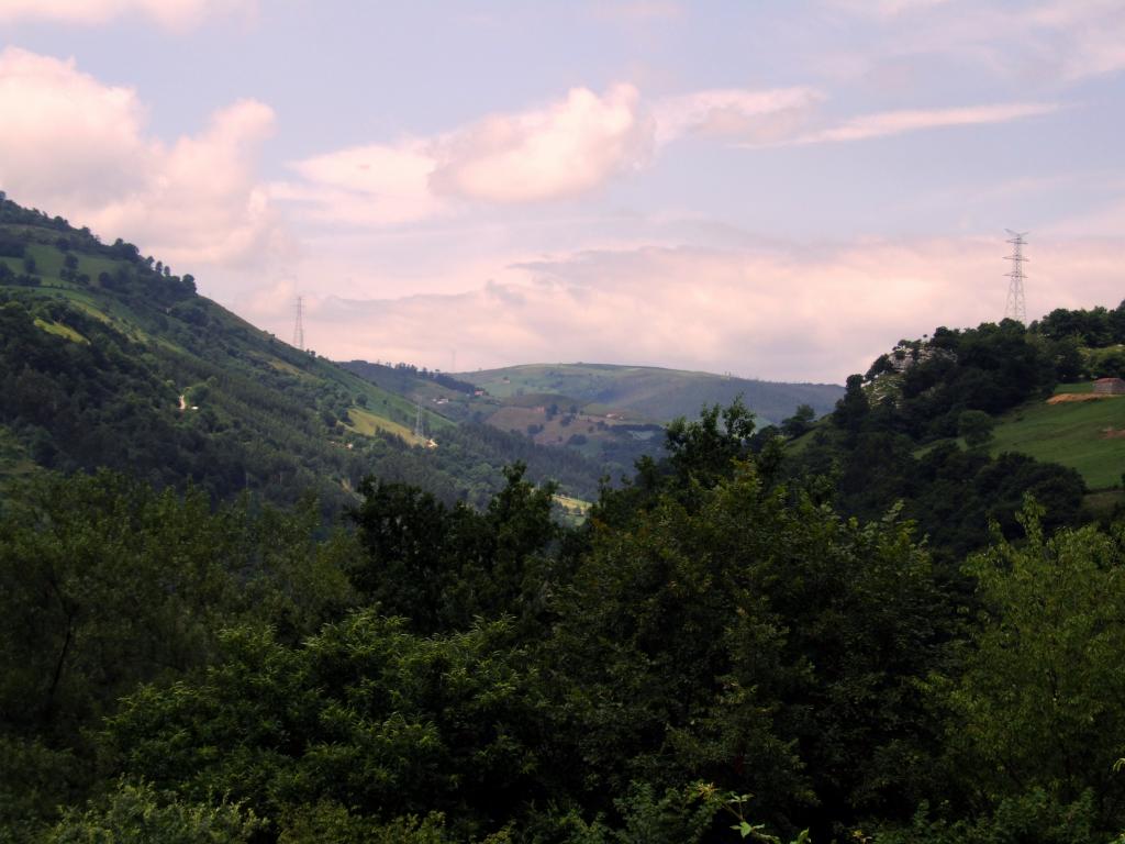 Foto de Angustina (Cantabria), España