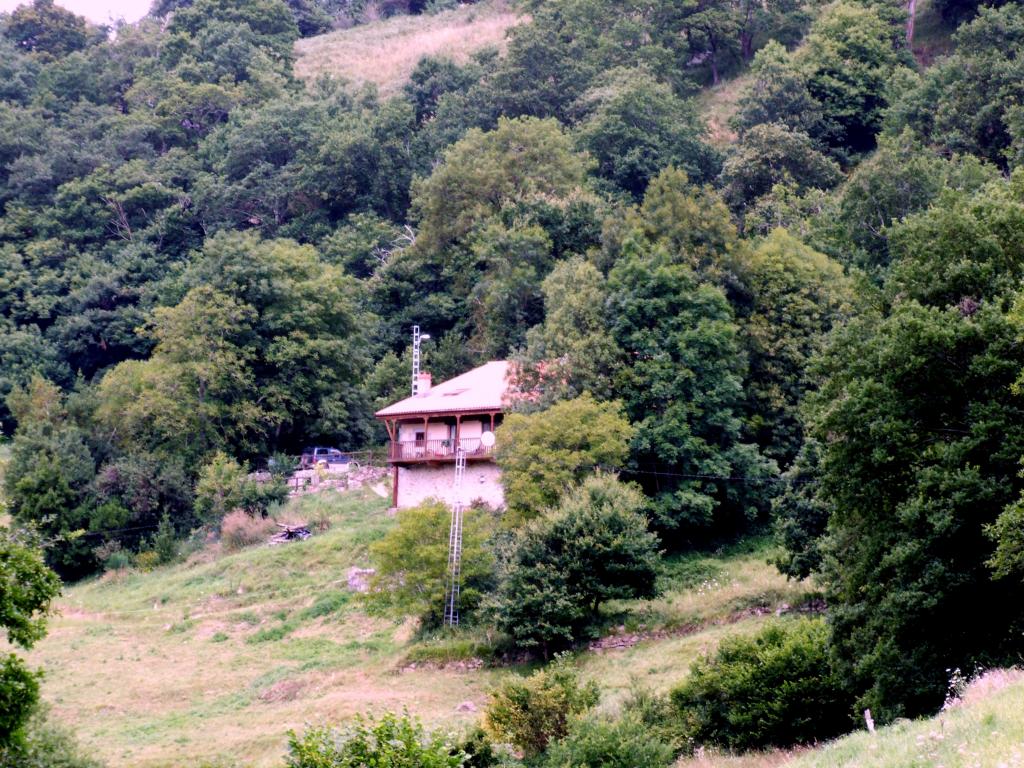 Foto de Angustina (Cantabria), España